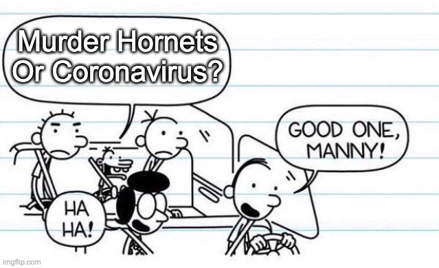 Diary Of A Qurantined Kid | Murder Hornets
Or Coronavirus? | image tagged in good one manny | made w/ Imgflip meme maker