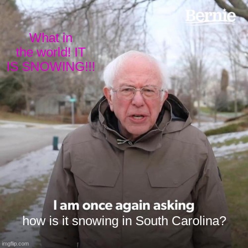 Bernie I Am Once Again Asking For Your Support | What in the world! IT IS SNOWING!!! how is it snowing in South Carolina? | image tagged in memes,bernie i am once again asking for your support | made w/ Imgflip meme maker