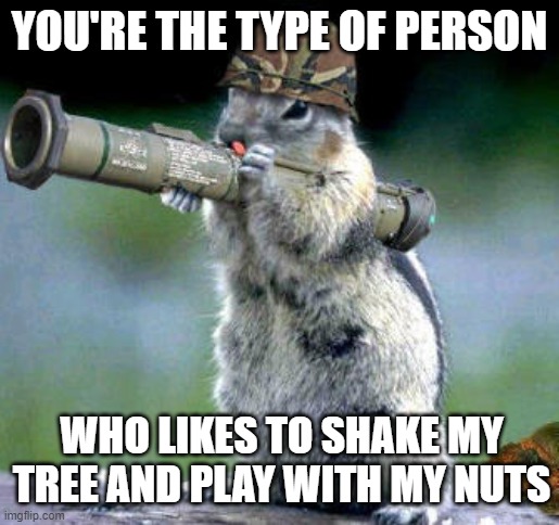 Bazooka Squirrel | YOU'RE THE TYPE OF PERSON; WHO LIKES TO SHAKE MY TREE AND PLAY WITH MY NUTS | image tagged in memes,bazooka squirrel,funny,funny memes | made w/ Imgflip meme maker