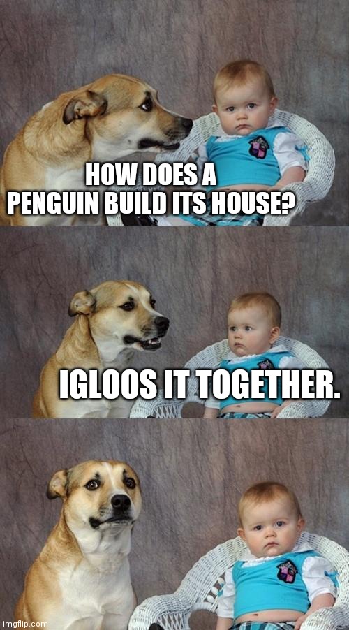 DAD JOKE | HOW DOES A PENGUIN BUILD ITS HOUSE? IGLOOS IT TOGETHER. | image tagged in memes,dad joke dog | made w/ Imgflip meme maker