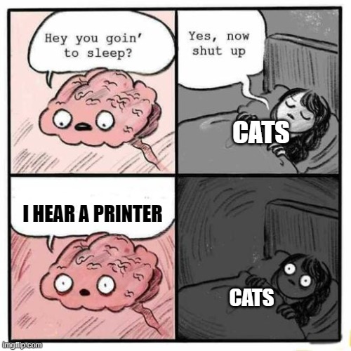 Hey you going to sleep? | CATS; I HEAR A PRINTER; CATS | image tagged in hey you going to sleep | made w/ Imgflip meme maker