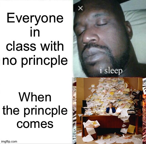 Sleeping Shaq Meme | Everyone in class with no princple; When the princple comes | image tagged in memes,sleeping shaq | made w/ Imgflip meme maker