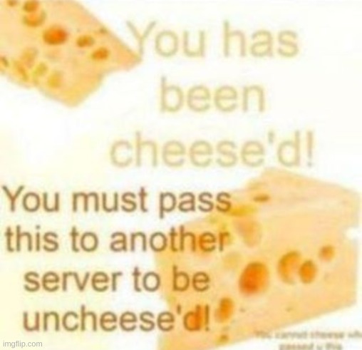 You has been cheeze'd | image tagged in you has been cheeze'd | made w/ Imgflip meme maker