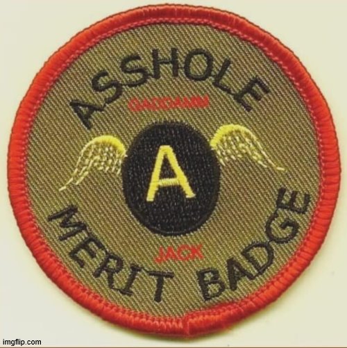 image tagged in merit badge | made w/ Imgflip meme maker