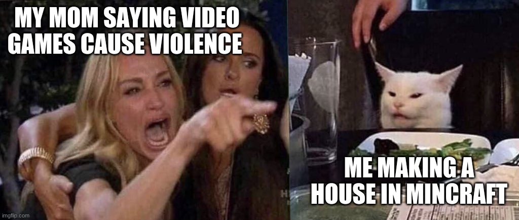 woman yelling at cat | MY MOM SAYING VIDEO GAMES CAUSE VIOLENCE; ME MAKING A HOUSE IN MINCRAFT | image tagged in woman yelling at cat | made w/ Imgflip meme maker