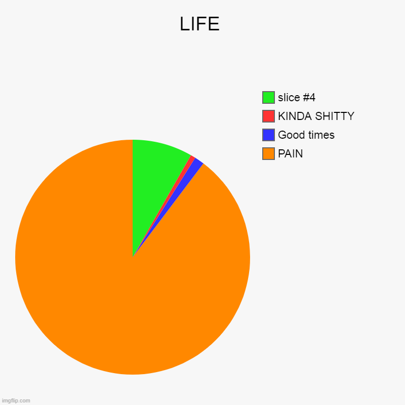 LIFE | PAIN, Good times , KINDA SHITTY | image tagged in charts,pie charts | made w/ Imgflip chart maker