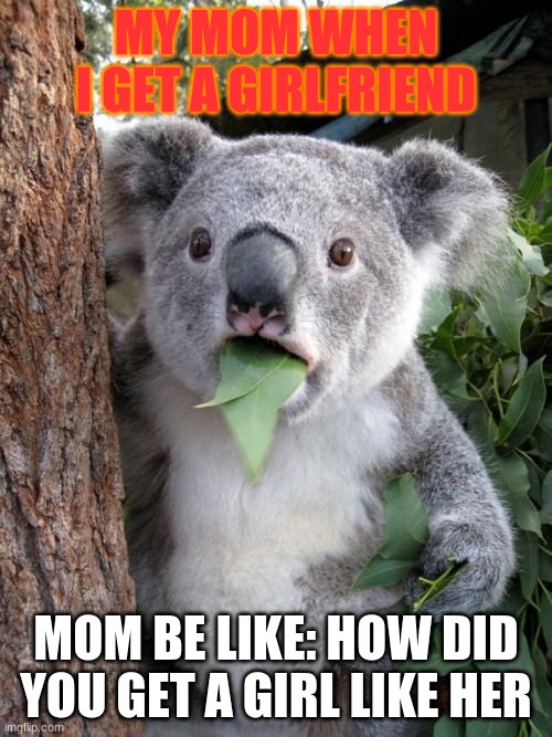 Surprised Koala Meme | MY MOM WHEN I GET A GIRLFRIEND; MOM BE LIKE: HOW DID YOU GET A GIRL LIKE HER | image tagged in memes,surprised koala | made w/ Imgflip meme maker
