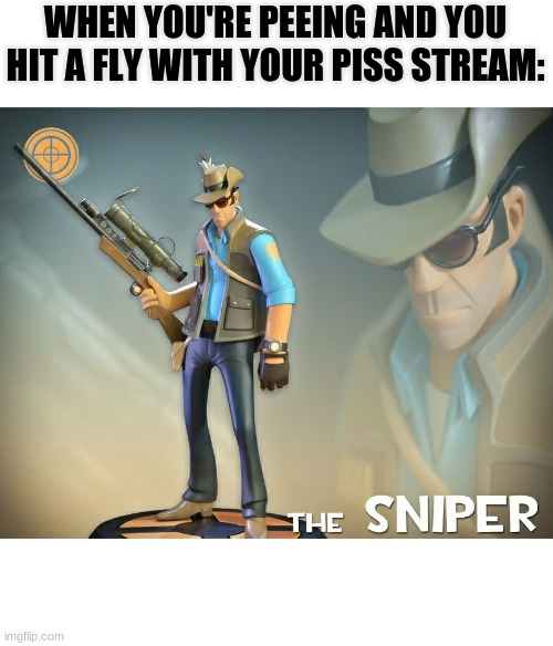 The Sniper | WHEN YOU'RE PEEING AND YOU HIT A FLY WITH YOUR PISS STREAM: | image tagged in the sniper | made w/ Imgflip meme maker