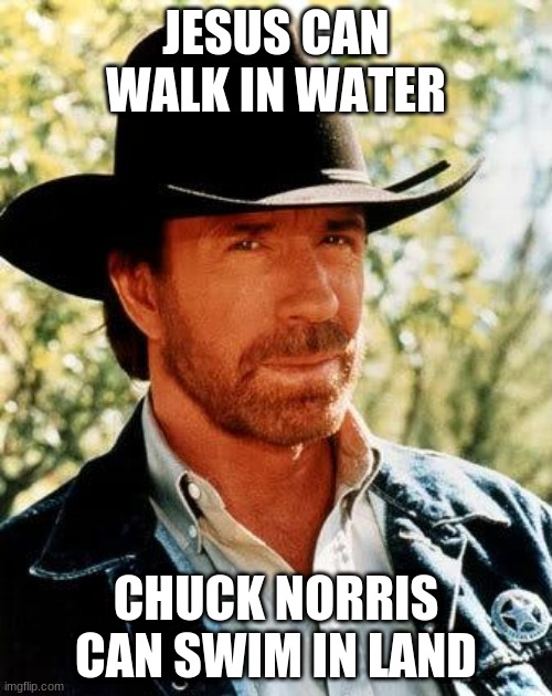Chuck Norris Meme | JESUS CAN WALK IN WATER; CHUCK NORRIS CAN SWIM IN LAND | image tagged in memes,chuck norris | made w/ Imgflip meme maker