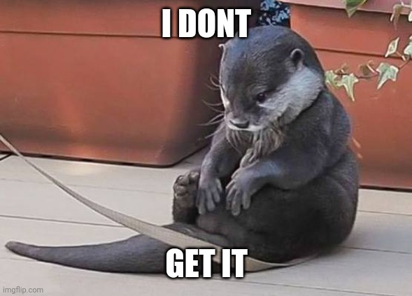 Sad Otter | I DONT GET IT | image tagged in sad otter | made w/ Imgflip meme maker