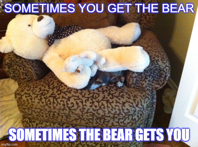 The Bear of it | SOMETIMES YOU GET THE BEAR; SOMETIMES THE BEAR GETS YOU | image tagged in bad pun dog | made w/ Imgflip meme maker