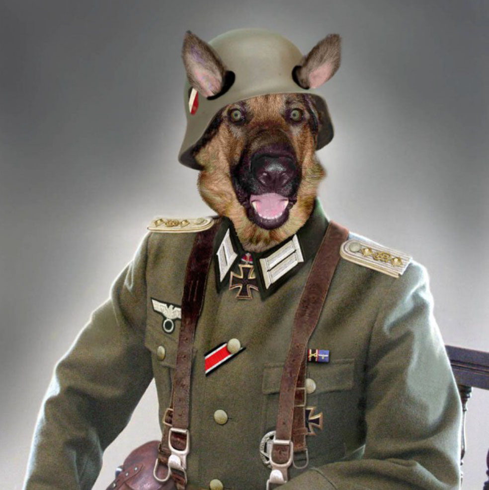 dog army Blank Meme Template