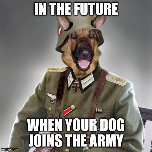 dog army | IN THE FUTURE; WHEN YOUR DOG JOINS THE ARMY | image tagged in dog army | made w/ Imgflip meme maker