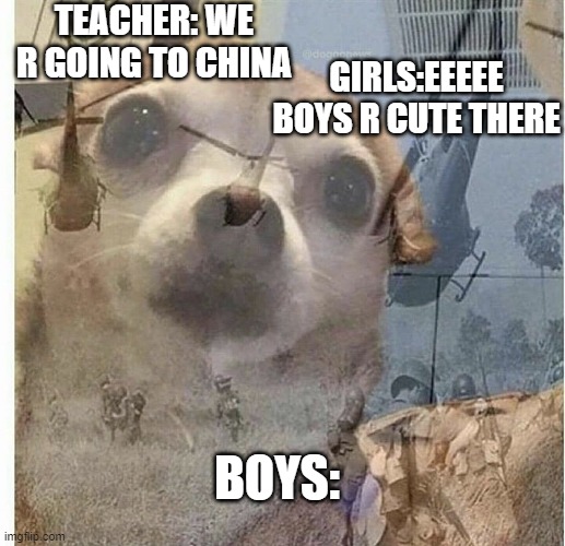 PTSD Chihuahua | TEACHER: WE R GOING TO CHINA; GIRLS:EEEEE BOYS R CUTE THERE; BOYS: | image tagged in ptsd chihuahua | made w/ Imgflip meme maker