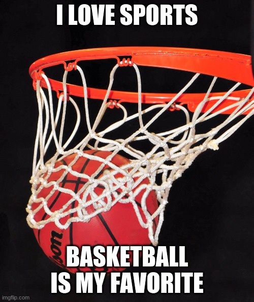 basketball | I LOVE SPORTS; BASKETBALL IS MY FAVORITE | image tagged in basketball | made w/ Imgflip meme maker