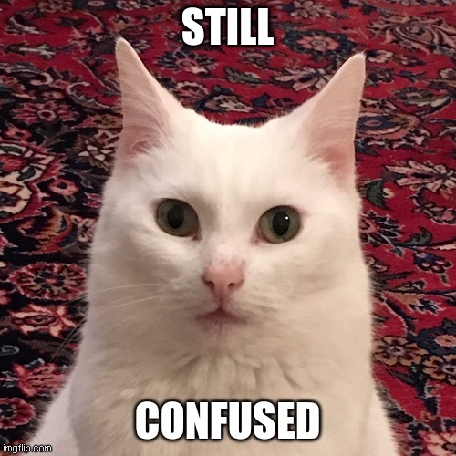 What is a meme? | STILL; CONFUSED | image tagged in staring cat | made w/ Imgflip meme maker