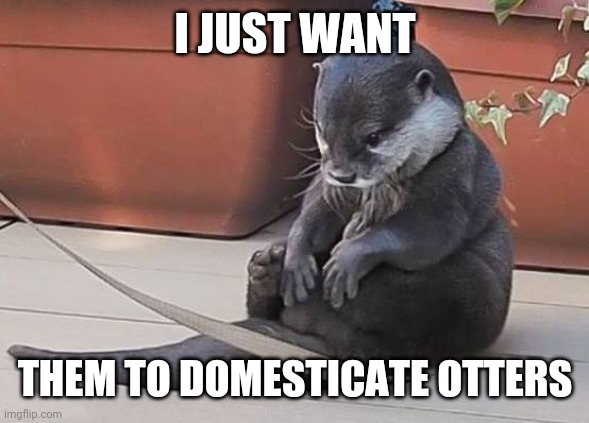 Sad Otter | I JUST WANT THEM TO DOMESTICATE OTTERS | image tagged in sad otter | made w/ Imgflip meme maker