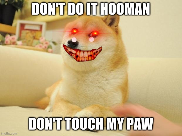 don't do it | DON'T DO IT HOOMAN; DON'T TOUCH MY PAW | image tagged in memes,doge 2 | made w/ Imgflip meme maker