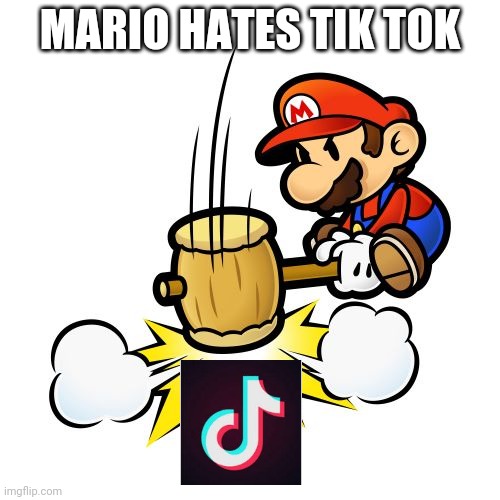 Mario Hammer Smash | MARIO HATES TIK TOK | image tagged in memes,mario hammer smash | made w/ Imgflip meme maker