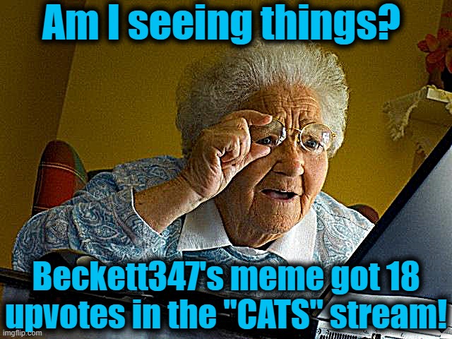 the "CATS" stream??? Wow! Maybe cats are more popular than I thought | Am I seeing things? Beckett347's meme got 18 upvotes in the "CATS" stream! | image tagged in memes,cats,points,upvotes,popular | made w/ Imgflip meme maker