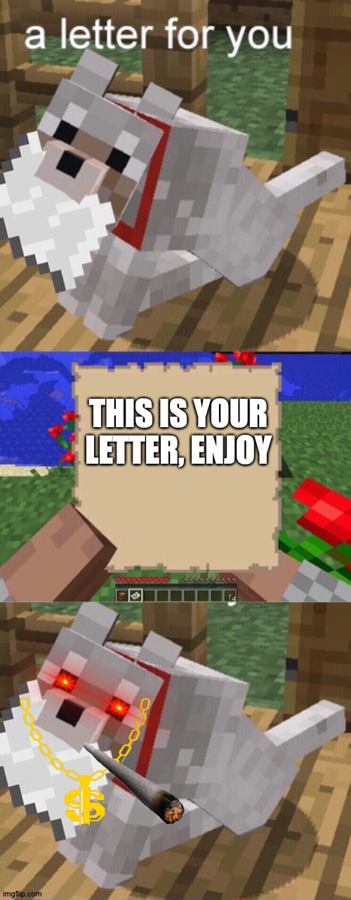 THIS IS YOUR LETTER, ENJOY | image tagged in minecraft mail | made w/ Imgflip meme maker