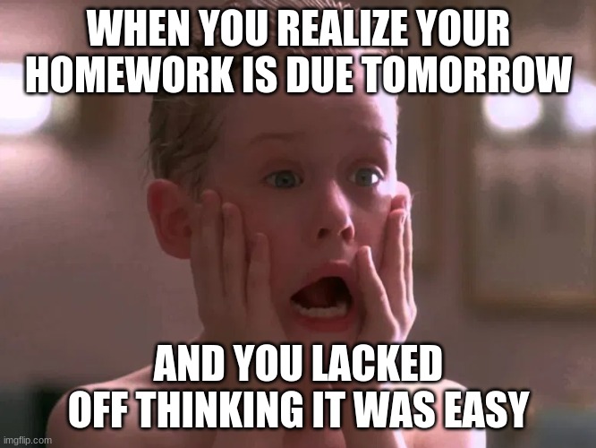 Schoolwork | WHEN YOU REALIZE YOUR HOMEWORK IS DUE TOMORROW; AND YOU LACKED OFF THINKING IT WAS EASY | image tagged in school | made w/ Imgflip meme maker