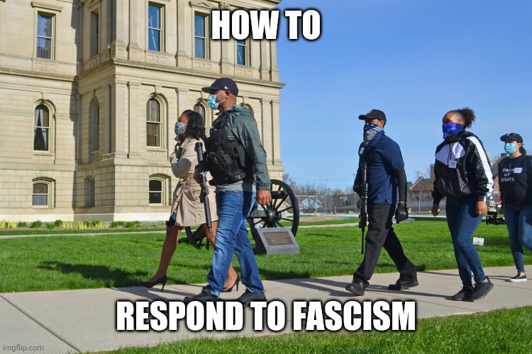 Armed escort of Sarah Anthony | HOW TO; RESPOND TO FASCISM | image tagged in armed escort of sarah anthony | made w/ Imgflip meme maker