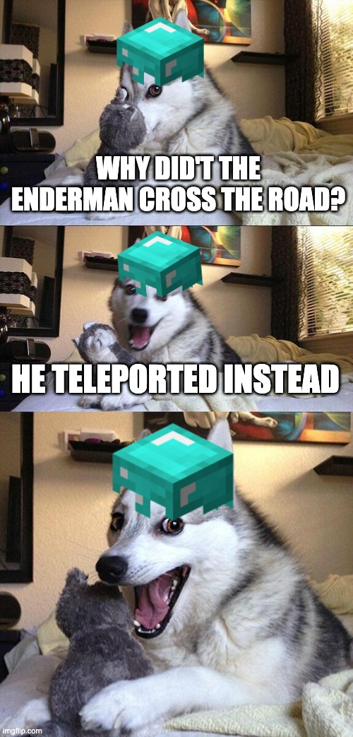 bad pun dog | WHY DID'T THE ENDERMAN CROSS THE ROAD? HE TELEPORTED INSTEAD | image tagged in memes,bad pun dog | made w/ Imgflip meme maker