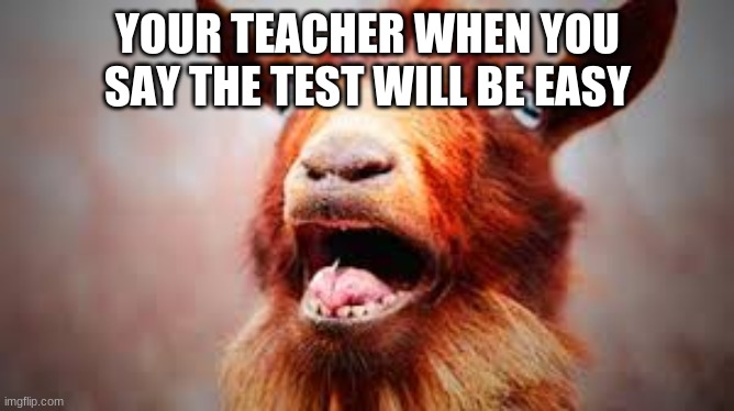 The test | YOUR TEACHER WHEN YOU SAY THE TEST WILL BE EASY | image tagged in school | made w/ Imgflip meme maker
