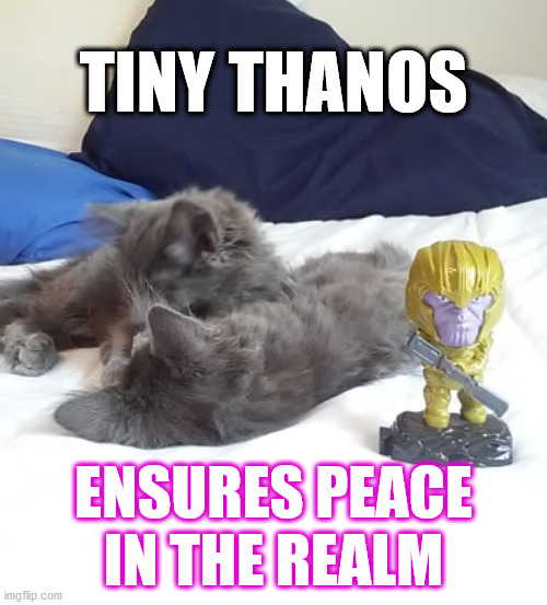 Tiny Thanos Stands Guard | TINY THANOS; ENSURES PEACE IN THE REALM | image tagged in tiny thanos stands guard | made w/ Imgflip meme maker