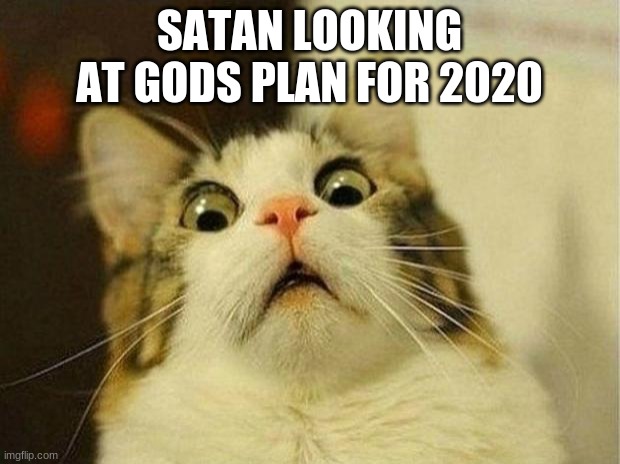 Scared Cat | SATAN LOOKING AT GODS PLAN FOR 2020 | image tagged in memes,scared cat | made w/ Imgflip meme maker