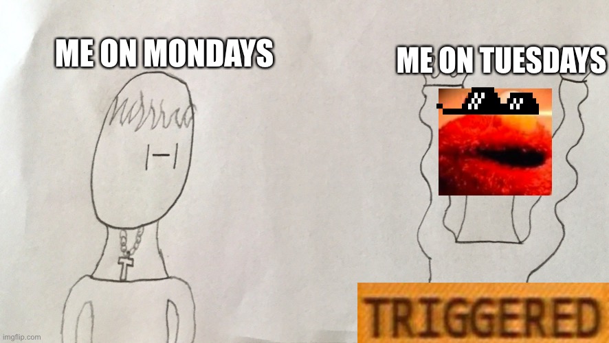 TUESDAYS... | ME ON TUESDAYS; ME ON MONDAYS | image tagged in elmo | made w/ Imgflip meme maker