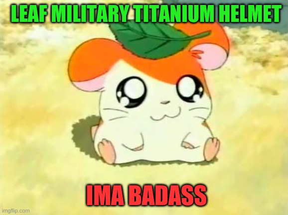 Hamtaro | LEAF MILITARY TITANIUM HELMET; IMA BADASS | image tagged in memes,hamtaro | made w/ Imgflip meme maker