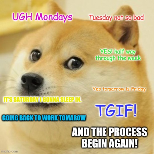 Doge | UGH Mondays; Tuesday not so bad; YES! half way through the week; Yes tomarrow is Friday; IT'S SATURDAY I GONNA SLEEP IN. TGIF! GOING BACK TO WORK TOMAROW; AND THE PROCESS BEGIN AGAIN! | image tagged in memes,doge | made w/ Imgflip meme maker