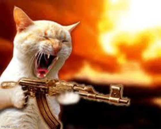 gangster cat | image tagged in gangster cat | made w/ Imgflip meme maker