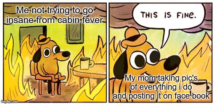 This Is Fine Meme | Me not trying to go insane from cabin fever; My mom taking pic's of everything i do and posting it on face book | image tagged in memes,this is fine | made w/ Imgflip meme maker