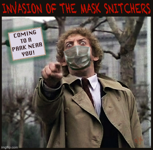 Mask Snitchers | image tagged in mask snitchers,masks,mask,n95,snitch,haters | made w/ Imgflip meme maker