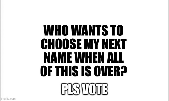 Why not have a vote on my next Username? | WHO WANTS TO CHOOSE MY NEXT NAME WHEN ALL OF THIS IS OVER? PLS VOTE | image tagged in white background | made w/ Imgflip meme maker