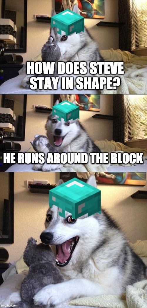 bad pun dog | HOW DOES STEVE STAY IN SHAPE? HE RUNS AROUND THE BLOCK | image tagged in memes,bad pun dog | made w/ Imgflip meme maker