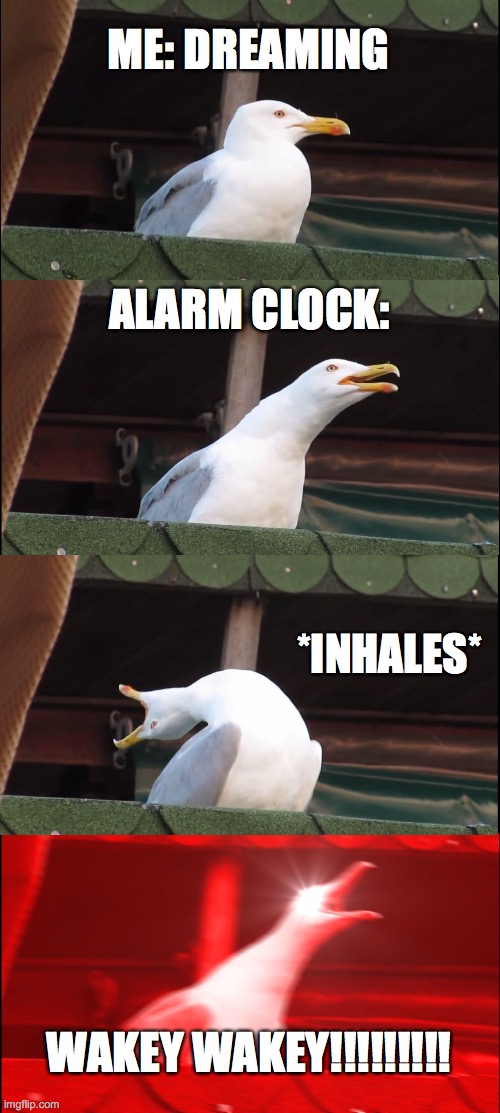 This is why I can't sleep | ME: DREAMING; ALARM CLOCK:; *INHALES*; WAKEY WAKEY!!!!!!!!! | image tagged in memes,inhaling seagull | made w/ Imgflip meme maker
