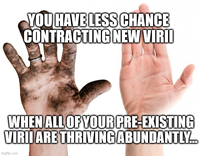 YOU HAVE LESS CHANCE CONTRACTING NEW VIRII; WHEN ALL OF YOUR PRE-EXISTING VIRII ARE THRIVING ABUNDANTLY... | image tagged in physiology | made w/ Imgflip meme maker