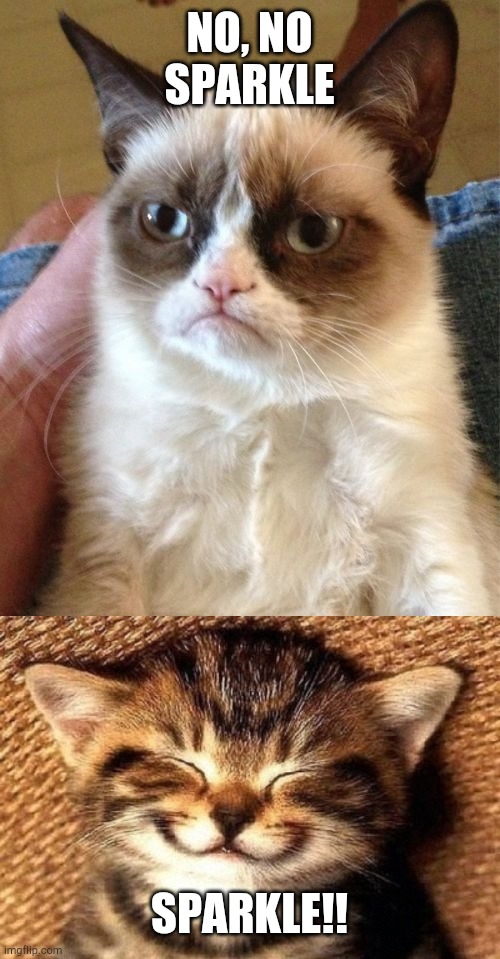 No sparkles | NO, NO SPARKLE; SPARKLE!! | image tagged in memes,grumpy cat,smiling kitty | made w/ Imgflip meme maker
