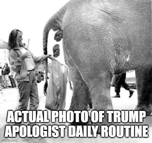 Trump Apologist | ACTUAL PHOTO OF TRUMP APOLOGIST DAILY ROUTINE | image tagged in trump,supporter,collecting poop,lies,gop,republicans | made w/ Imgflip meme maker