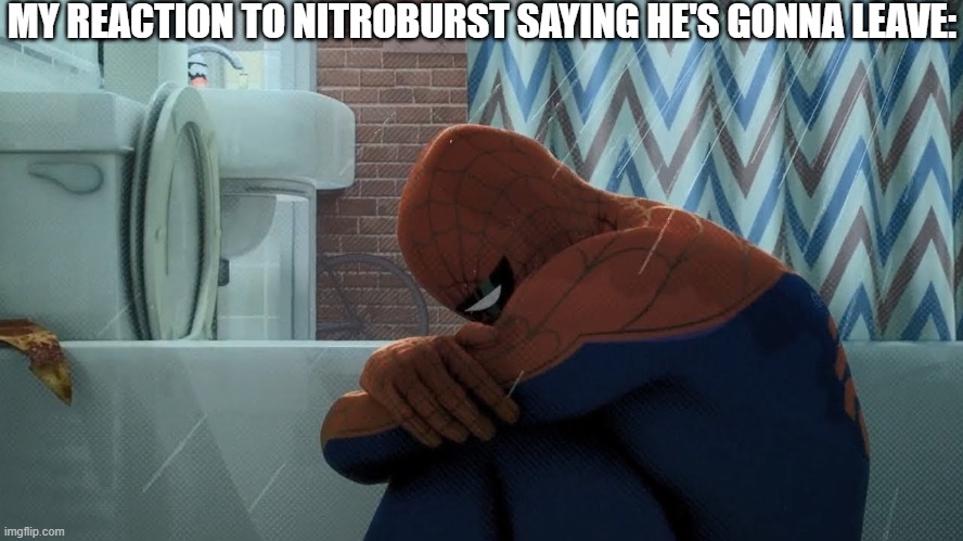DON'T LEAVE |  MY REACTION TO NITROBURST SAYING HE'S GONNA LEAVE: | image tagged in spider-man crying in the shower,imgflip | made w/ Imgflip meme maker