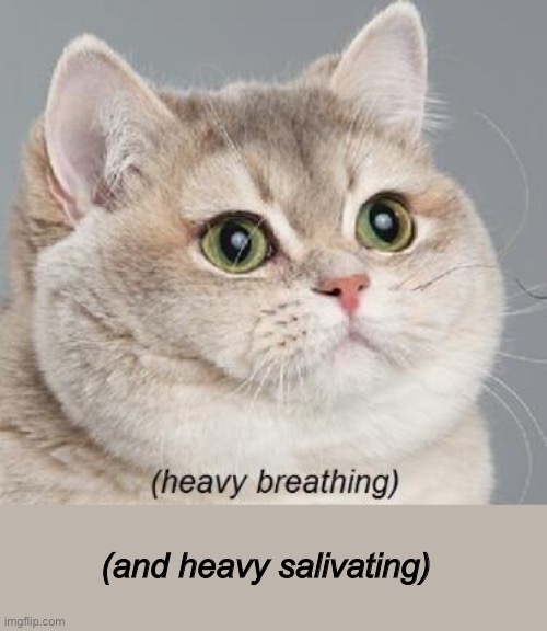 Heavy Breathing Cat Meme | (and heavy salivating) | image tagged in memes,heavy breathing cat | made w/ Imgflip meme maker