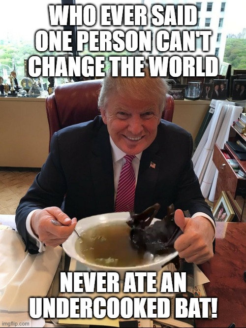 You can change the world | WHO EVER SAID ONE PERSON CAN'T CHANGE THE WORLD; NEVER ATE AN UNDERCOOKED BAT! | image tagged in donald trump,trump,covid-19,covid 19,covid,bat | made w/ Imgflip meme maker
