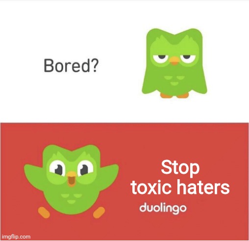 DUOLINGO BORED | Stop toxic haters | image tagged in duolingo bored | made w/ Imgflip meme maker