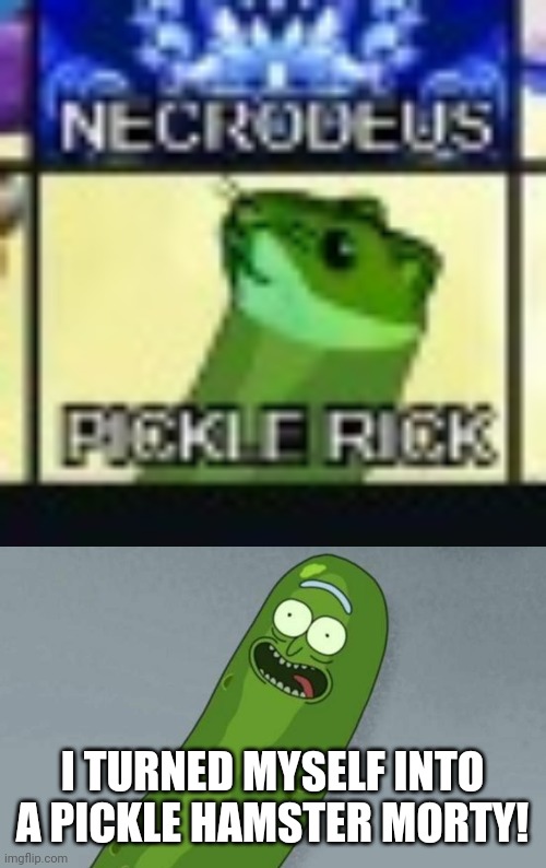 I TURNED MYSELF INTO A PICKLE HAMSTER MORTY! | image tagged in pickle rick | made w/ Imgflip meme maker