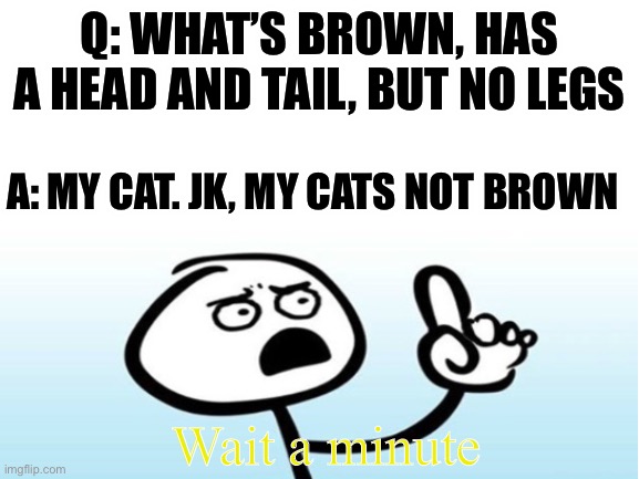 Wait a minute... your cat has no legs, sir | Q: WHAT’S BROWN, HAS A HEAD AND TAIL, BUT NO LEGS; A: MY CAT. JK, MY CATS NOT BROWN; Wait a minute | image tagged in cats | made w/ Imgflip meme maker