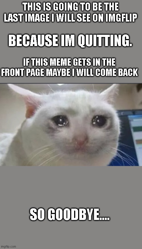 GOODBYE EVERYONE | THIS IS GOING TO BE THE LAST IMAGE I WILL SEE ON IMGFLIP; BECAUSE IM QUITTING. IF THIS MEME GETS IN THE FRONT PAGE MAYBE I WILL COME BACK; SO GOODBYE.... | image tagged in goodbye everyone | made w/ Imgflip meme maker
